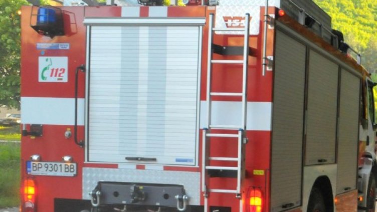 Снимка, архив Булфото