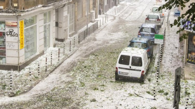 Снимка: архив Булфото