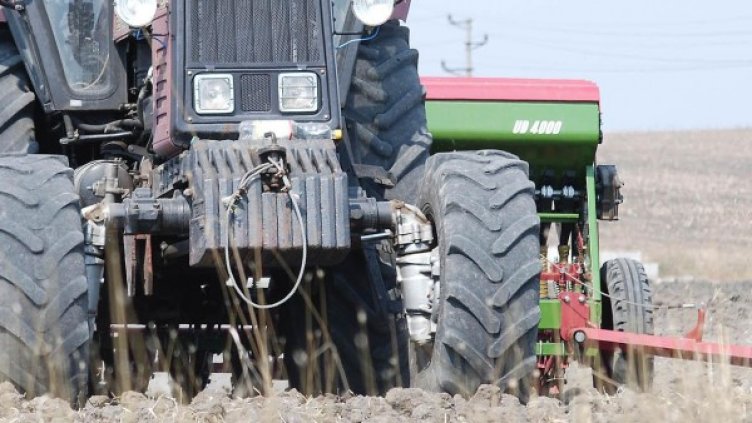 Снимка: архив, БулФото