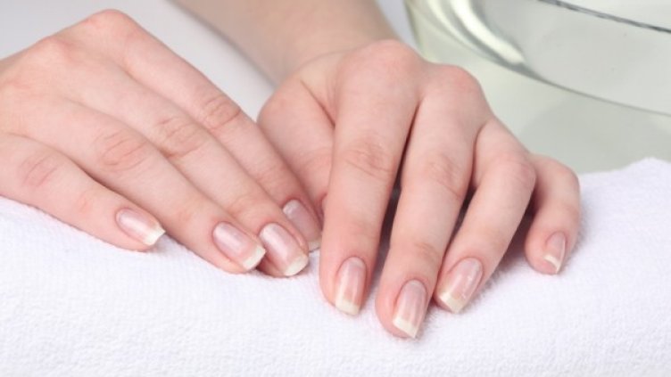 Снимка: photl.com