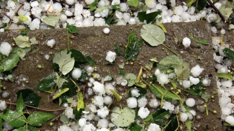 Снимка: Булфото, архив