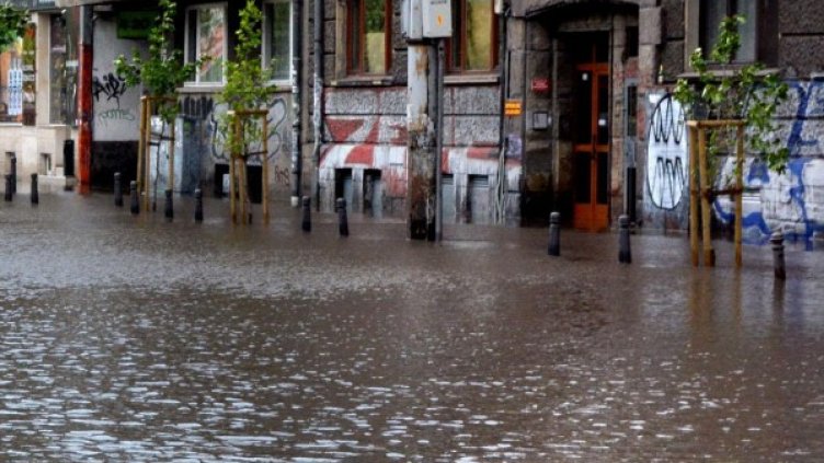 Снимка: Булфото, архив