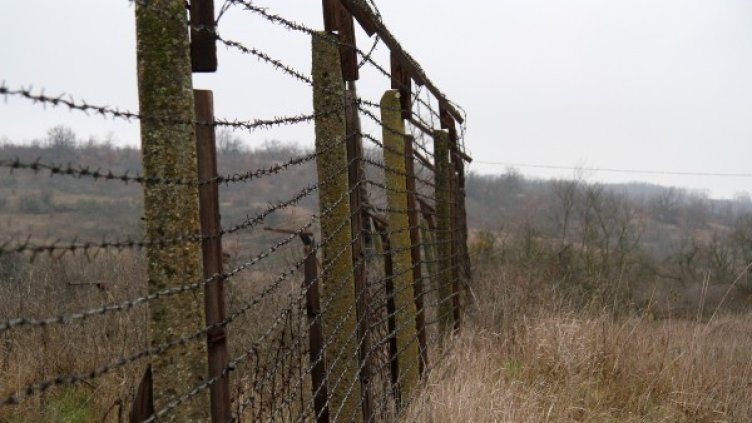 Снимка: Impact Press Group