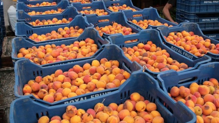 Снимка: архив Impact Press Group