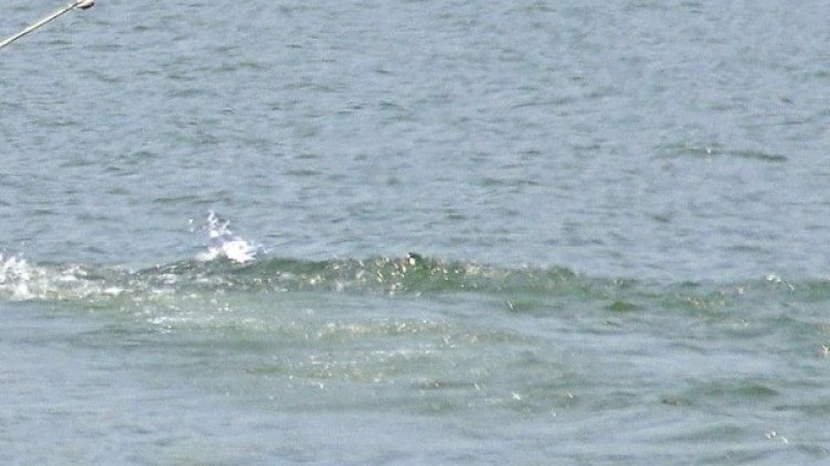 Снимка: архив, БулФото