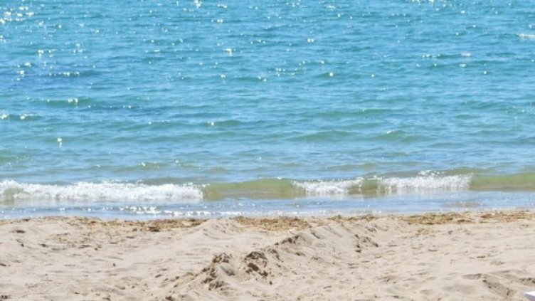 Снимка: архив Булфото