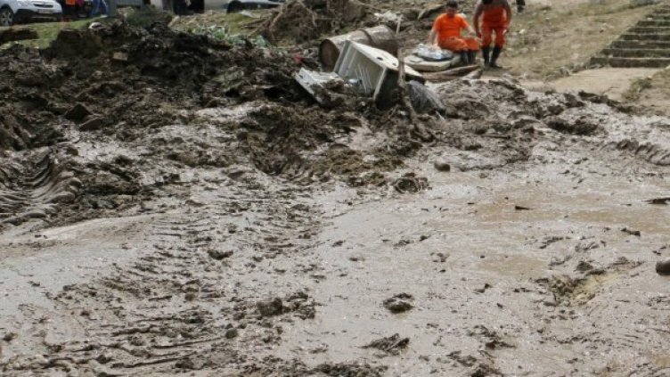 Снимка: Impact press group