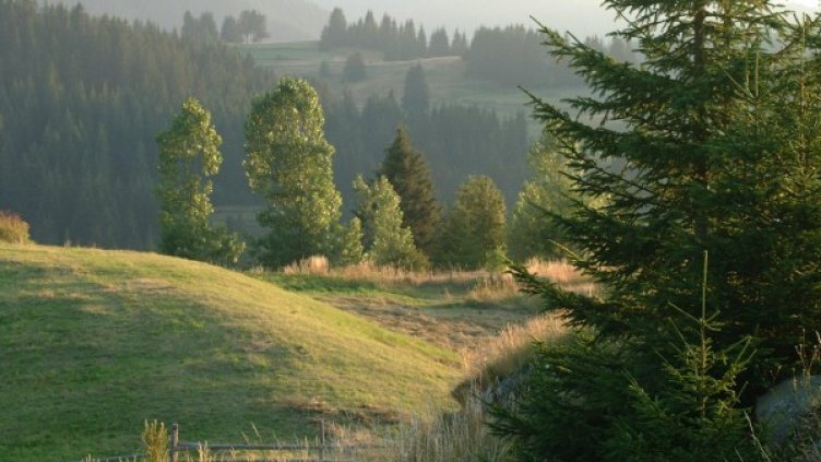 Снимка, архив Булфото