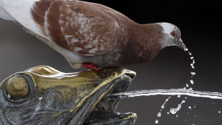 Снимка: Reuters