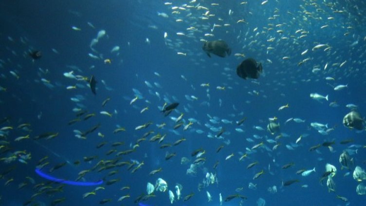 Снимка: архив, Reuters