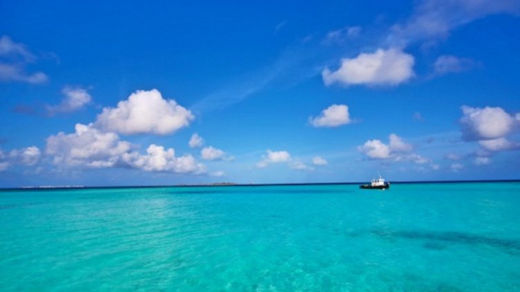 Снимка: imgur.com