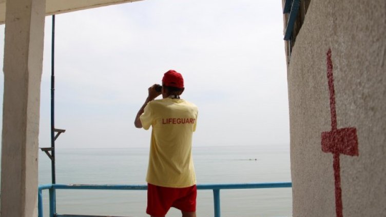 Снимка: Impact Press Group