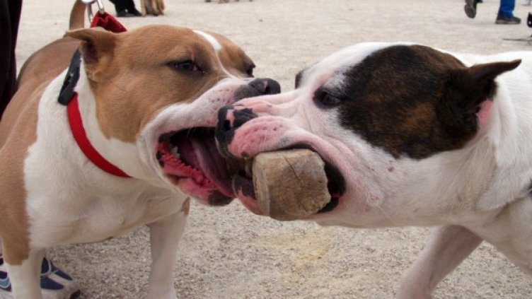 Снимка: Архив Reuters