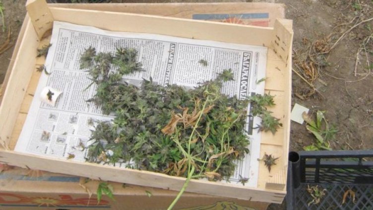 Снимка: Булфото, архив