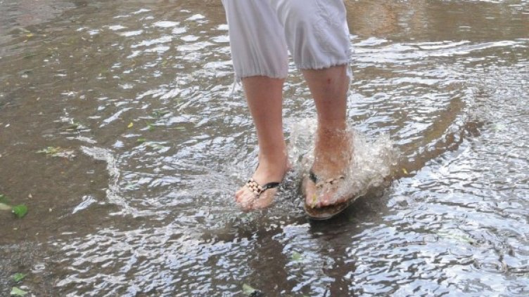 Снимка, архив Булфото