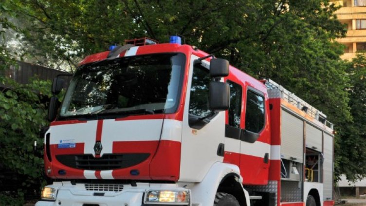 Снимка: архив, Булфото