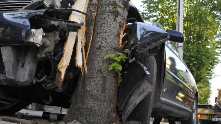 Снимка: архив Булфото