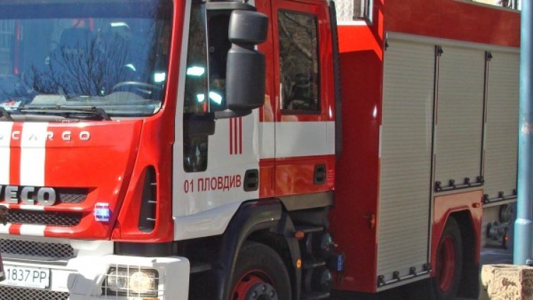 Снимка: архив Булфото