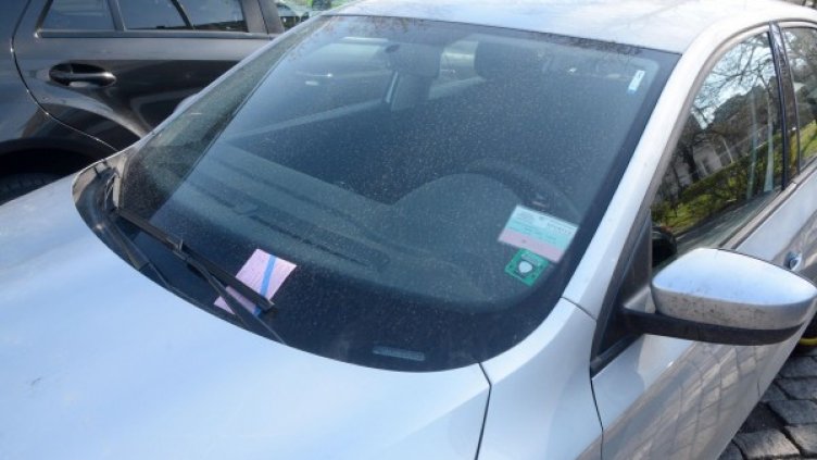 Снимка: архив Булфото