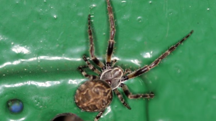 Снимка: Reuters