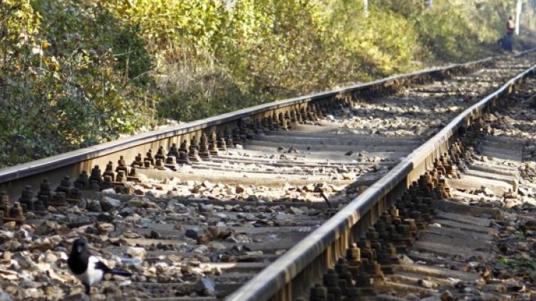 Снимка: архив, Булфото