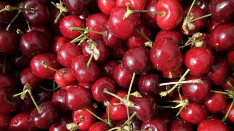 Снимка: архив Булфото