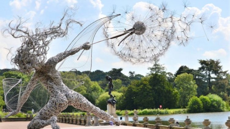 Снимка: Робин Уайт