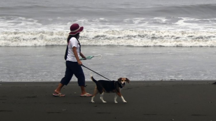 Снимка: Ройтерс, архив