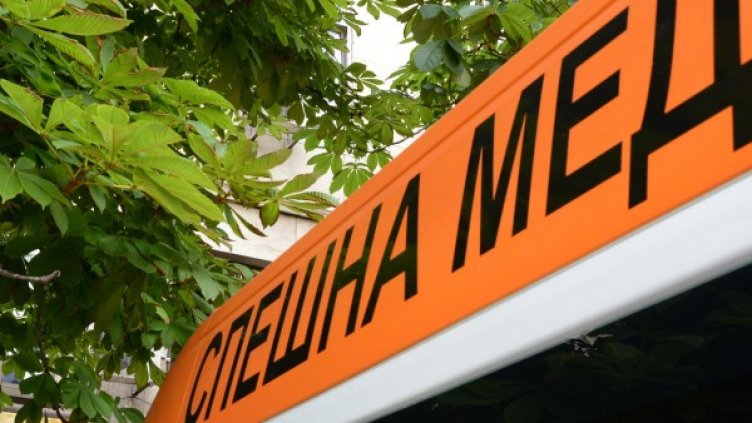 Снимка: архив Булфото