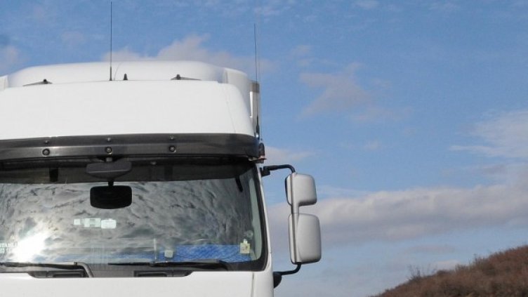 Снимка: Булфото, ахрив