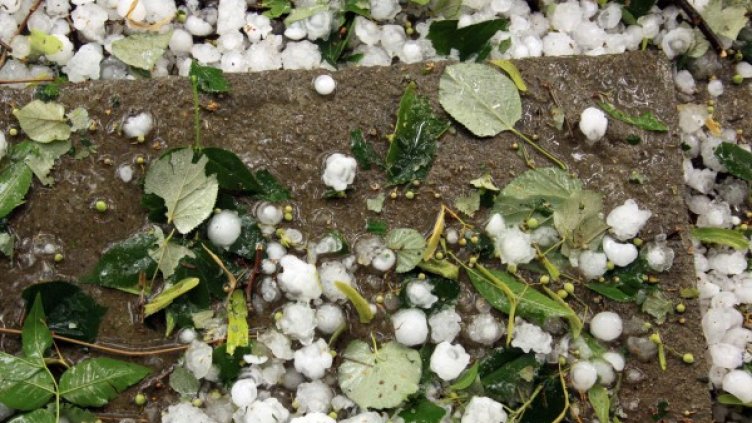 Снимка: архив Булфото