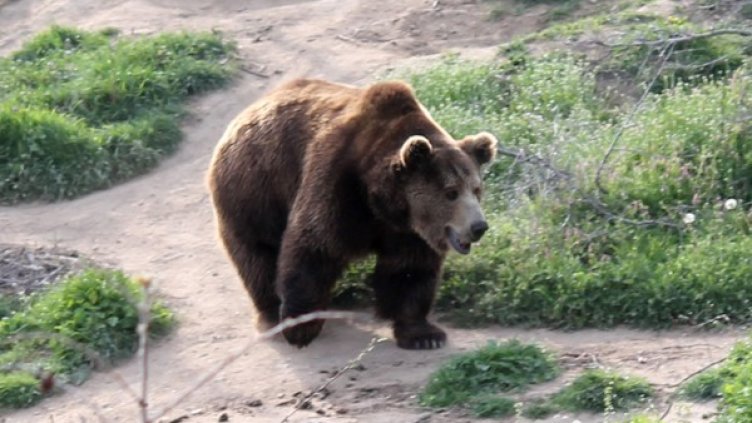 Снимка: Булфото, архив