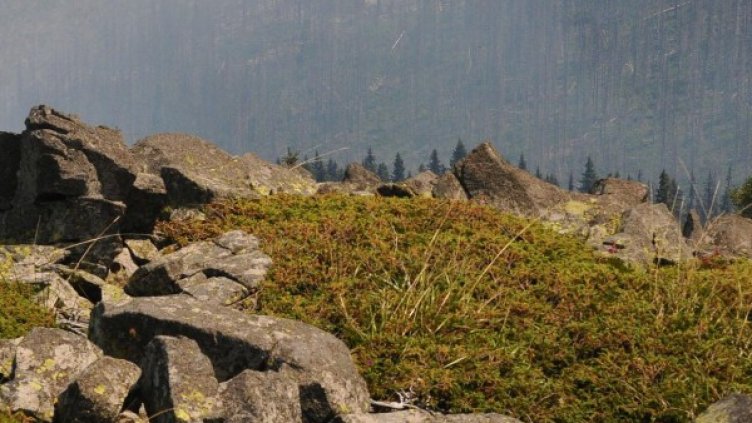 Снимка: архив, Булфото