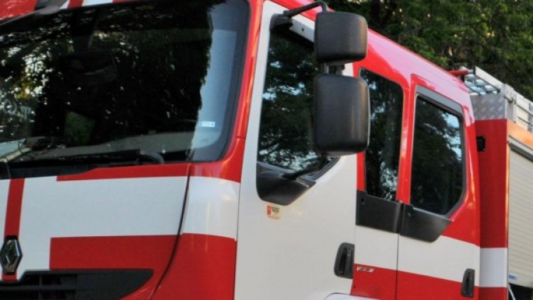 Снимка: архив Булфото