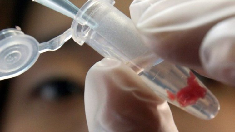 Източник: Reuters