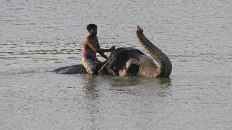 Снимка: Reuters