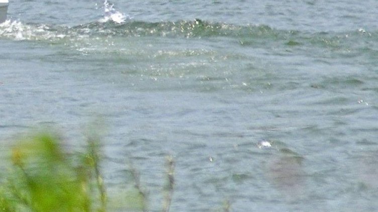 Снимка: архив, БулФото