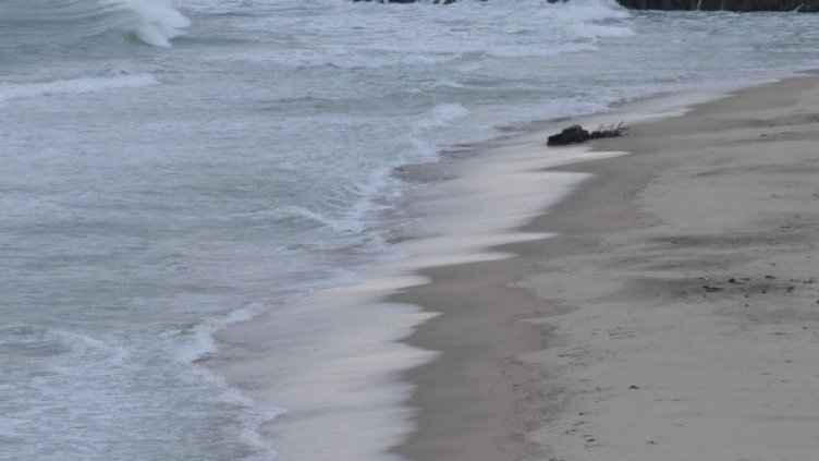 Снимка: архив Булфото