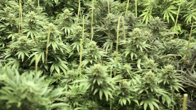 Източник: Reuters