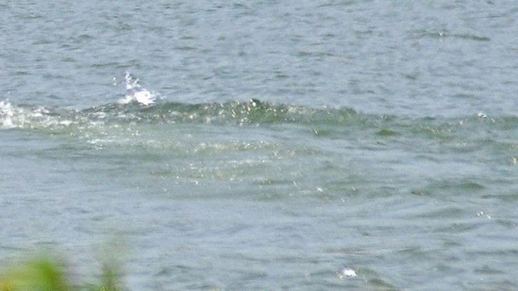 10-годишно се удави във водоем край ямболското село Мелница