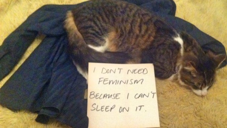 Нямам нужда от феминизъм, защото не мога да спя върху него. Снимка: Tumblr