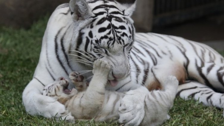 Снимка: Архив Reuters