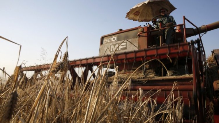 Снимка: Reuters, архив