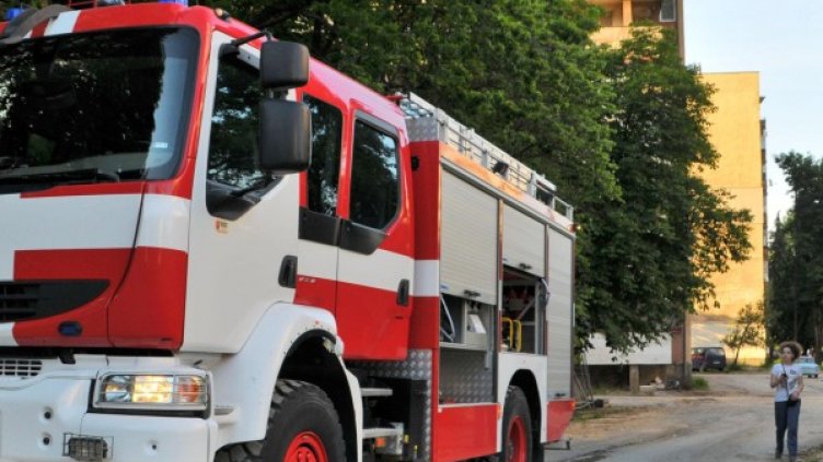 Снимка: Булфото, ахрив