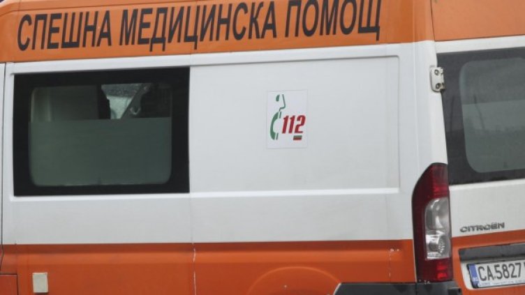 Снимка: Булфото, ахрив