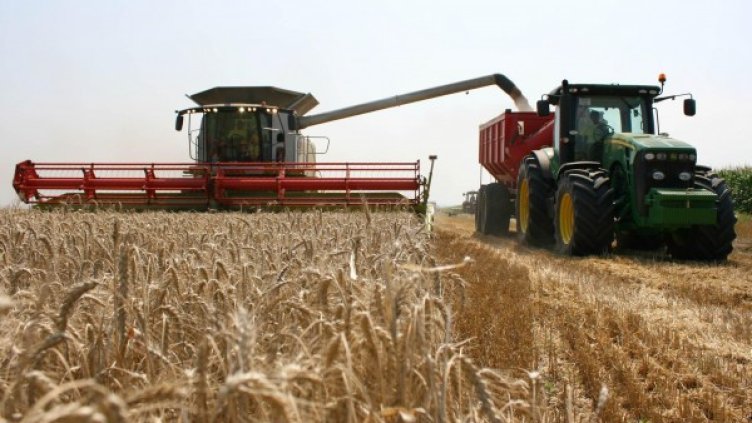 Снимка: архив, БулФото