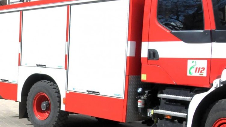 Снимка: Булфото, ахрив