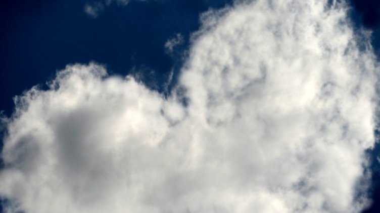 Снимка: freeimages.com