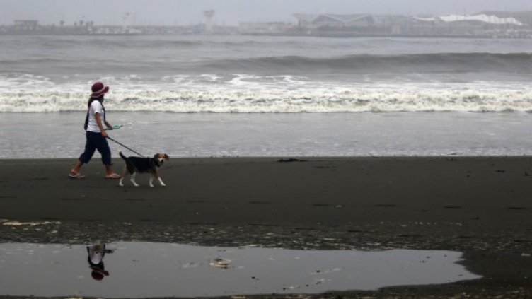 Снимка: архив, Reuters