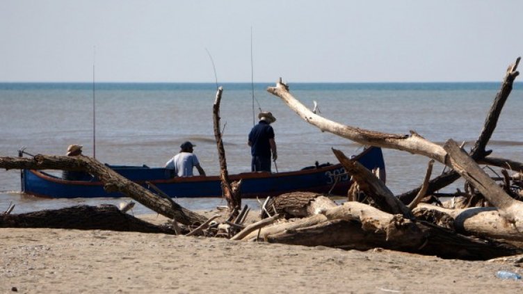 Снимка: Булфото, архив